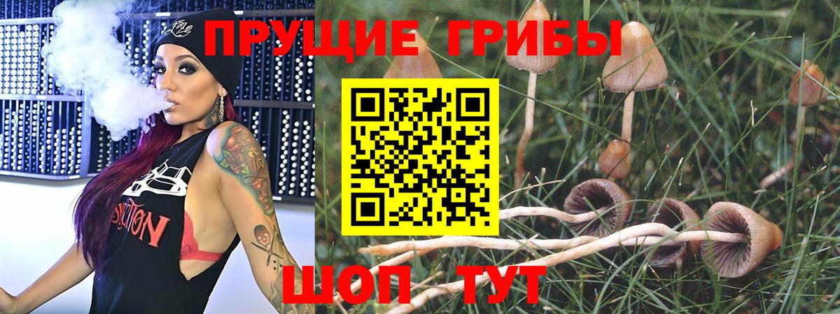 Реутов  Псилоцибиновые грибы Psilocybe  Вход с VPN 