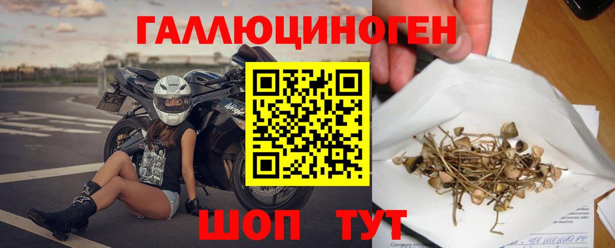 Псилоцибиновые грибы Cubensis Реутов